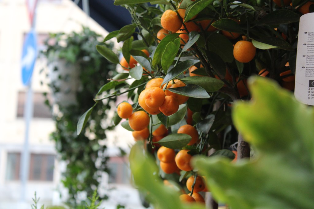 Su Franny  – da “Franny e Zooey” di J. D.&nbsp;Salinger