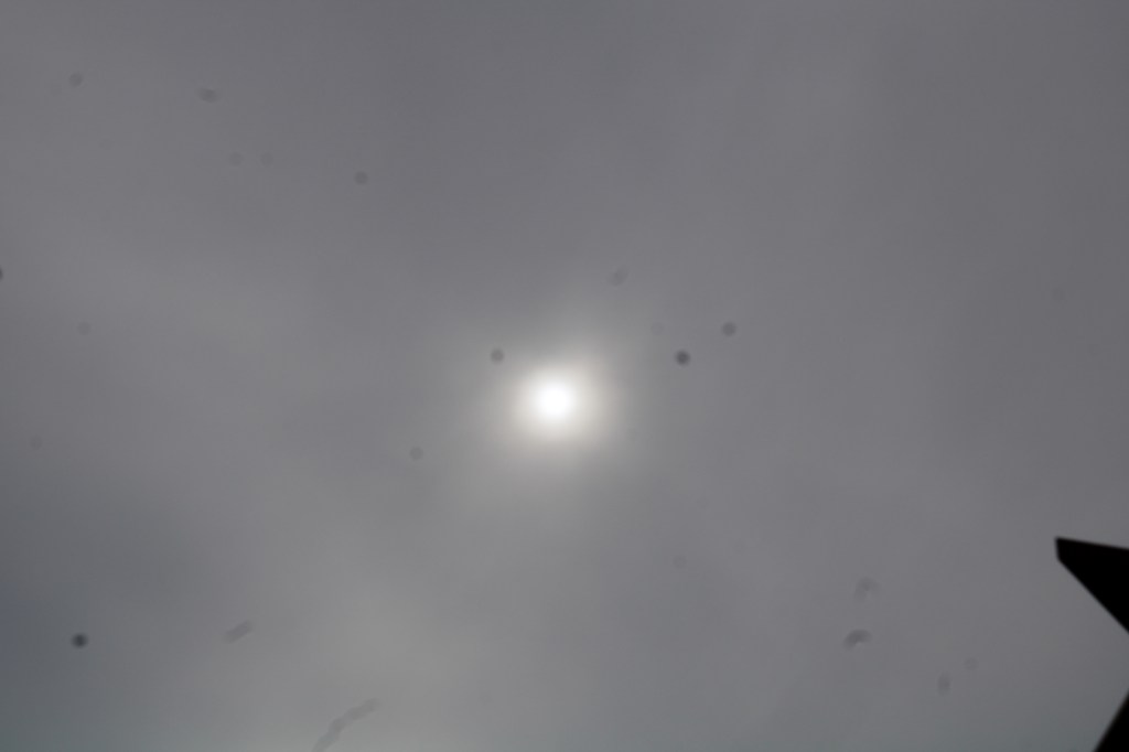 Un mastino a digiuno – Cinque&nbsp;poesie