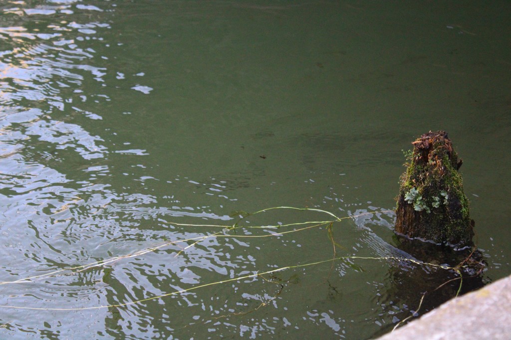 “Infanzia di un capo” di J. P. Sartre – nota&nbsp;critica